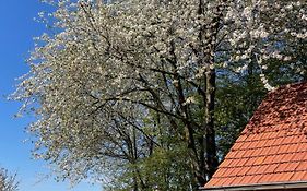 B&B Driel